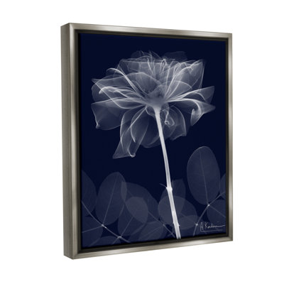 " Dark Flower Shape Floater Frame " by Albert Koetsier