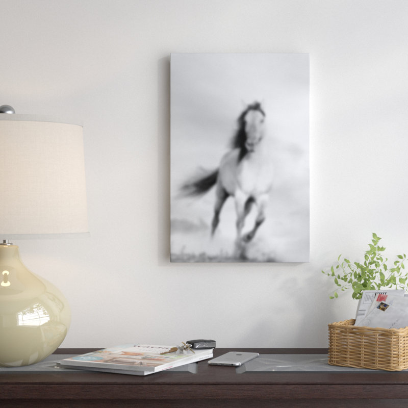 « brouilléed étalon », reproduction de photo sur toile tendue, H 48 po x l 32 po x P 1,5 po, Toile avec cadre noir