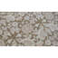 Ziegler Wool Oriental Area Rug