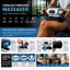 Machine de massage Carepeutic Shake-O-Max
