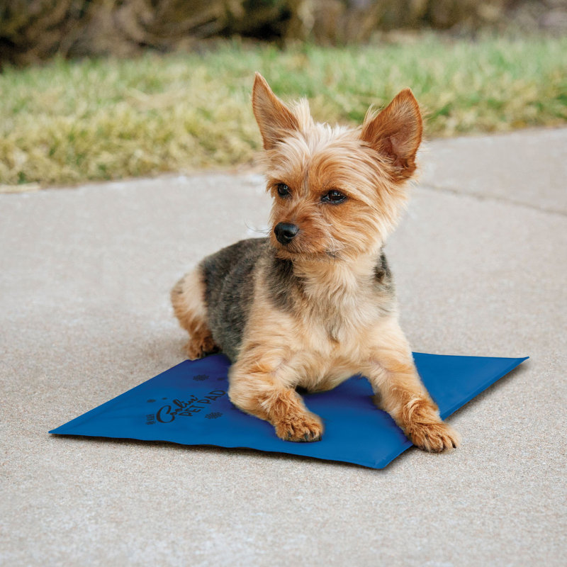 Tapis Coolin 'Pet, Moyen (20" W x 15" P x 0.25" H)