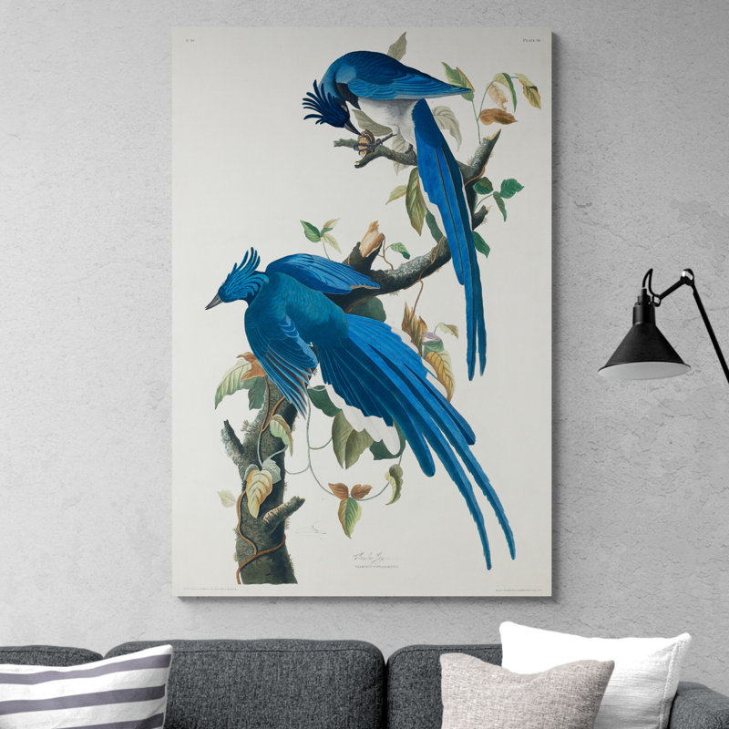 Fyre Columbia Jay Birds by John Audubon - Wrapped Canvas Print, 81cm H x 61cm W