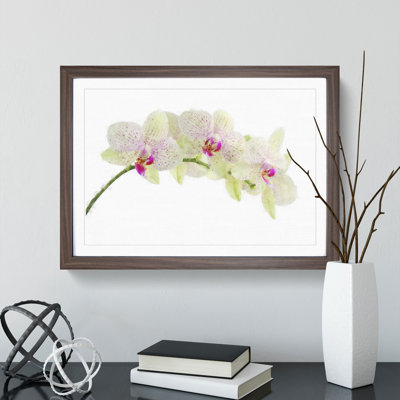 Orchid Flowers Vol.1 - Framed Print