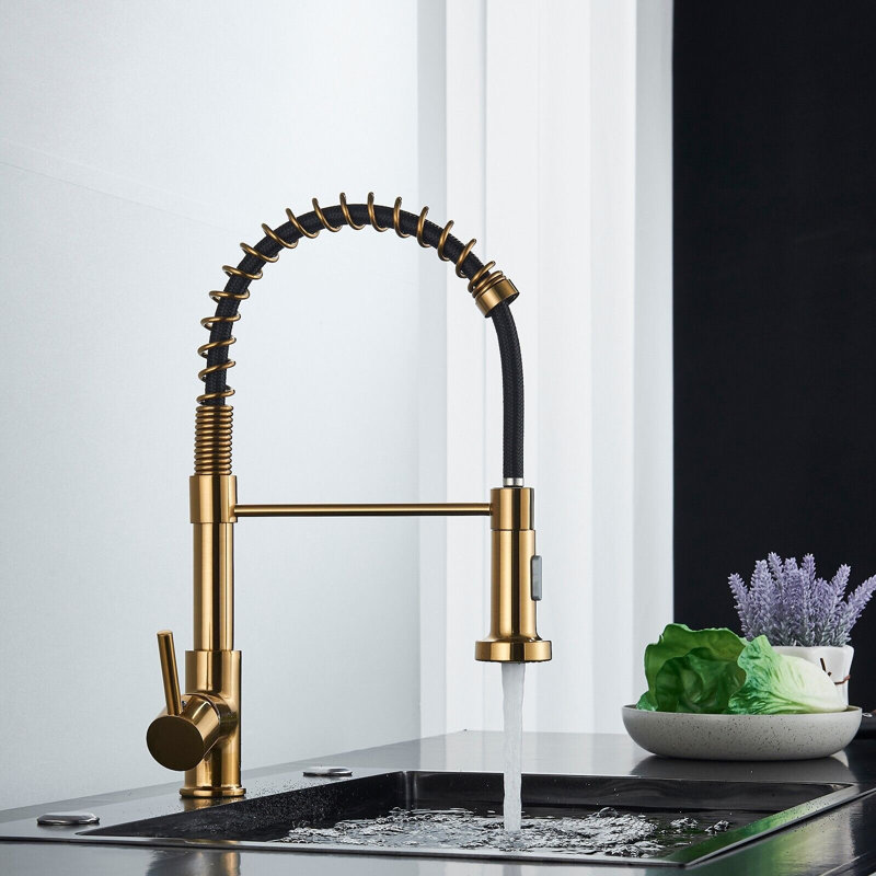 Belfry Kitchen Henleaze Pull Down Kitchen Faucet