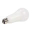 21 watts (équivalent à 150 watts), ampoule DEL A21, à intensité variable, culot moyen E26 (standard)-98344859