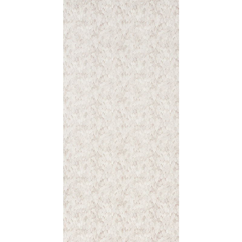 Feathers Wallpaper, Brown