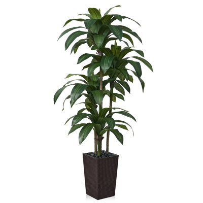 Dracaena vert artificiel Adcock résistant aux rayons UV, faux arbre avec une grande base pour l'intérieur et l'extérieur