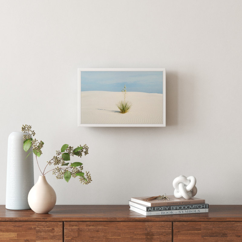 «Desert Life» par Marmont Hill - reproduction de photo sur papier encadrée, H 12 po x l 18 po