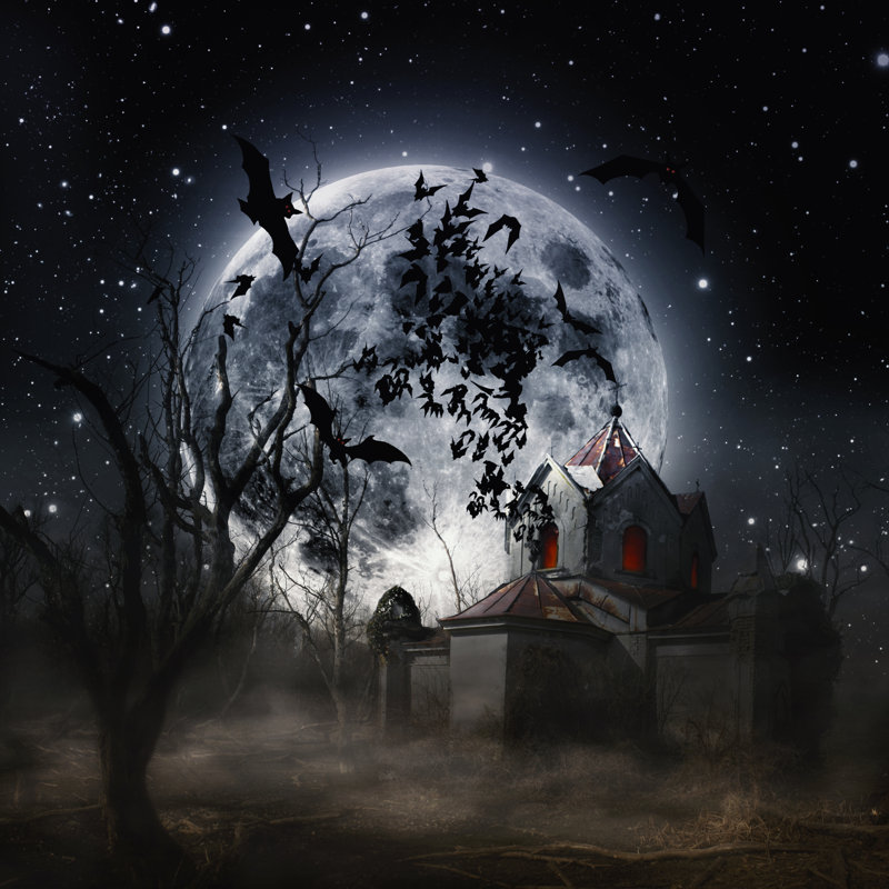 Halloween - Wrapped Canvas Print, 122cm H x 122cm W