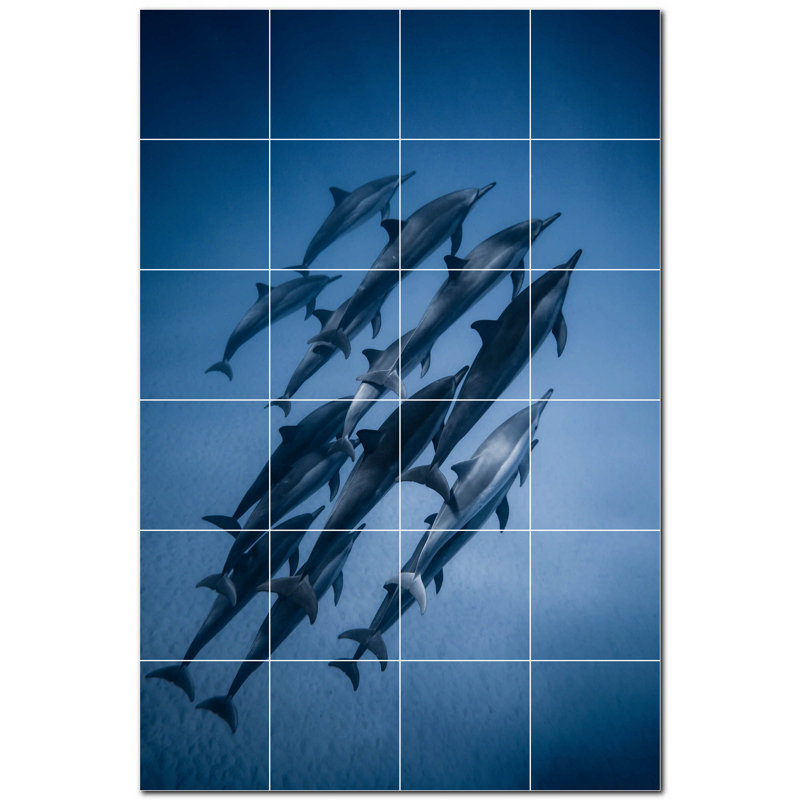 Murale en céramique 8 "x 8" Dolphin Photo