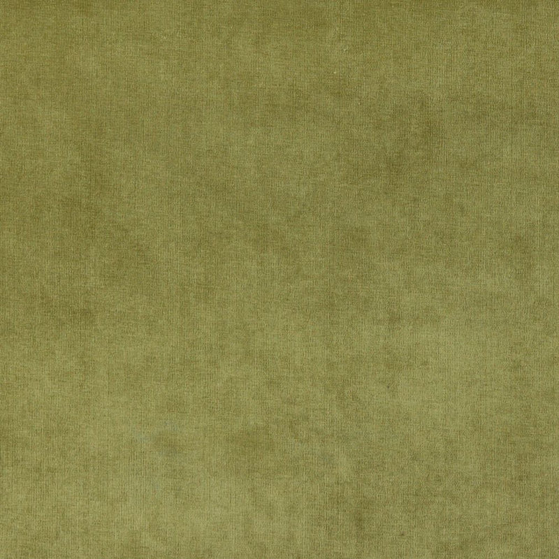 Tissu en velours, Vert 5