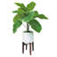 Plante auriculaire artificielle 28 "dans un vase