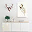 White Eyebrowed Robins by Elizabeth Gould - Wrapped Canvas-55305080