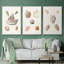 Pastel Knorr Shells VI 3 pièces-91891376-91891379