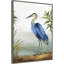 «Blue Heron» par Aimee Wilson - reproduction encadrée sur toile-86870168