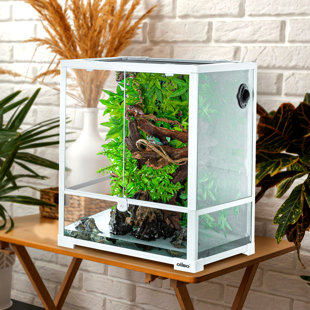 18'' x 18'' x 24'' Reptile Terrarium
