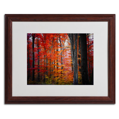 "No Title" par Philippe Sainte-Laudy, reproduction de photo encadrée