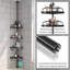Miylah Wall Bamboo Shower Caddy-545768857