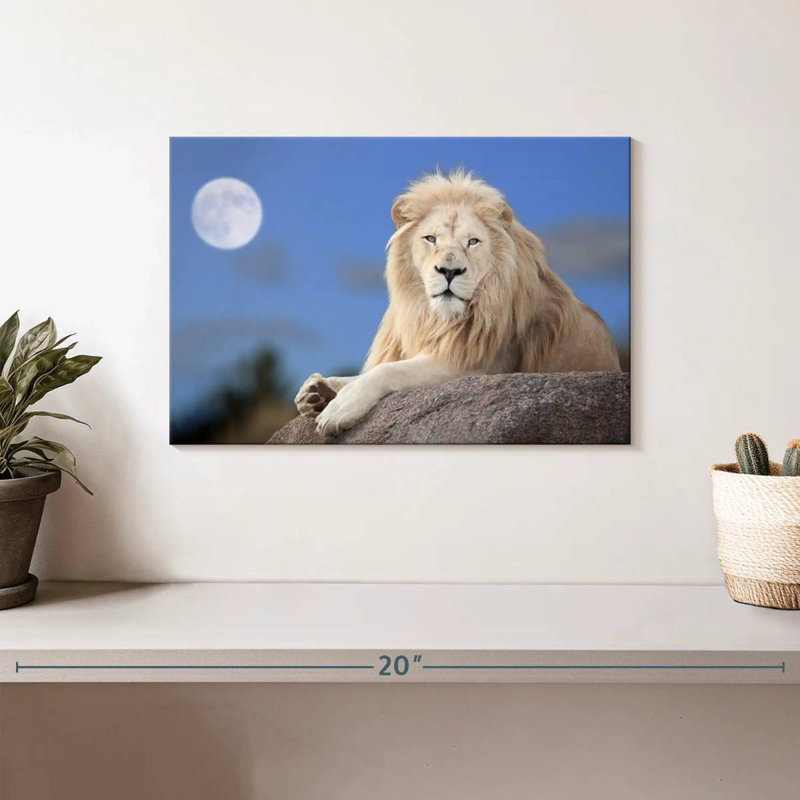 Brampt Lion Wild Cat, 8" H x 12" W