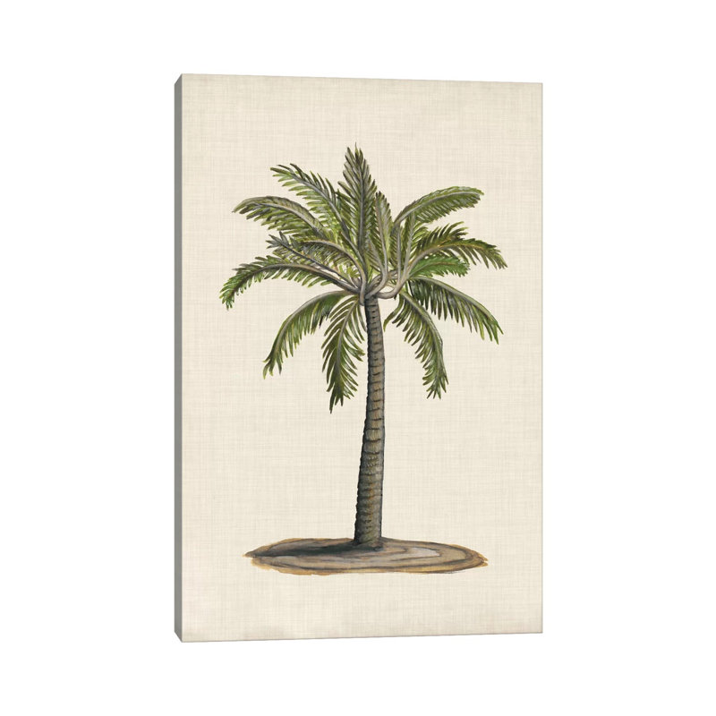 British Palms I by Naomi McCavitt - Wrapped Canvas Print, 20.32 cm H x 30.48 cm W
