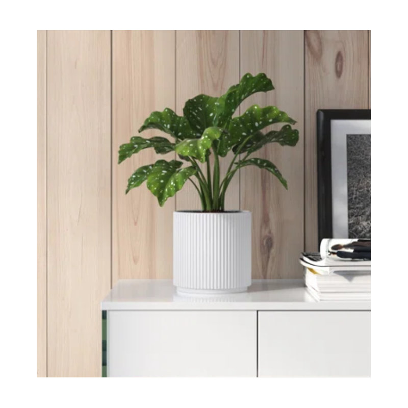 Lolley Handmade Ceramic Pot Planter, 13.5cm H x 13.5cm W x 13.5cm D