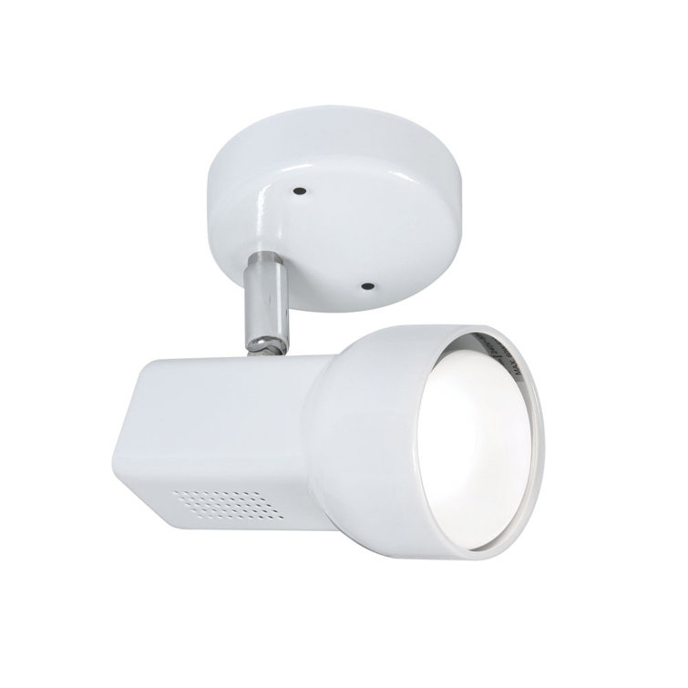 Crossman 1-Light Ceiling Spotlight