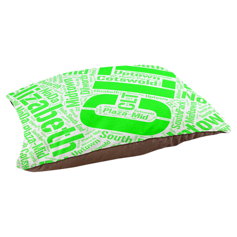 Coussin de chien « districts », Grand (l 40 po x P 30 po x H 14 po), Charlotte, Vert