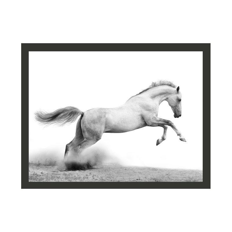 White Gallop 3.09m x 400cm Wallpaper, 2.31m x 300cm