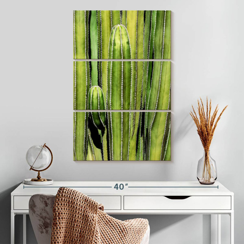 Superposition de cactus Harnek, H 32 po x l 20 po