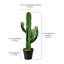 44 "plante de cactus artificielle en pot