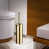 Polished Brass