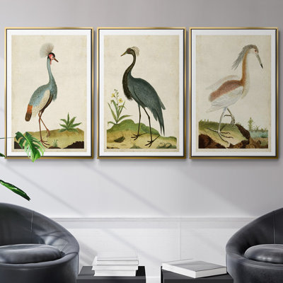 Heron Portrait I, ensemble de 3 toiles encadrées