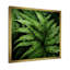«Green Fern Forest Beauty I - Ferns», art mural-1992231385-1958256554