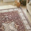 Traditional Red Washable/Stain Guarded Area Rug -673928708