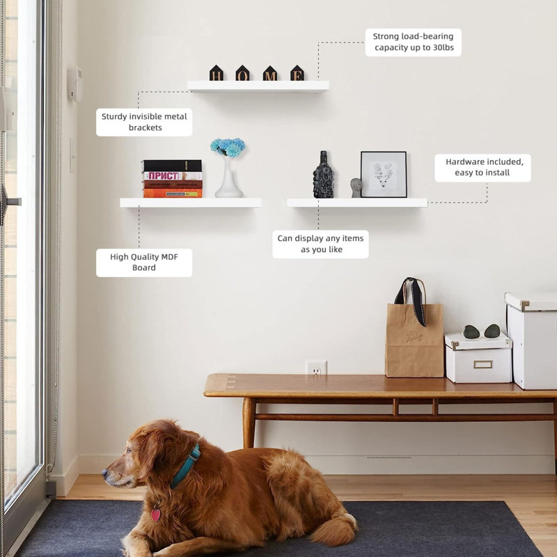 Raahul 3 Piece Floating Shelf