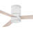 Hinkley Fan Speck Flush 52" Led Smart Fan-122614737-122614738
