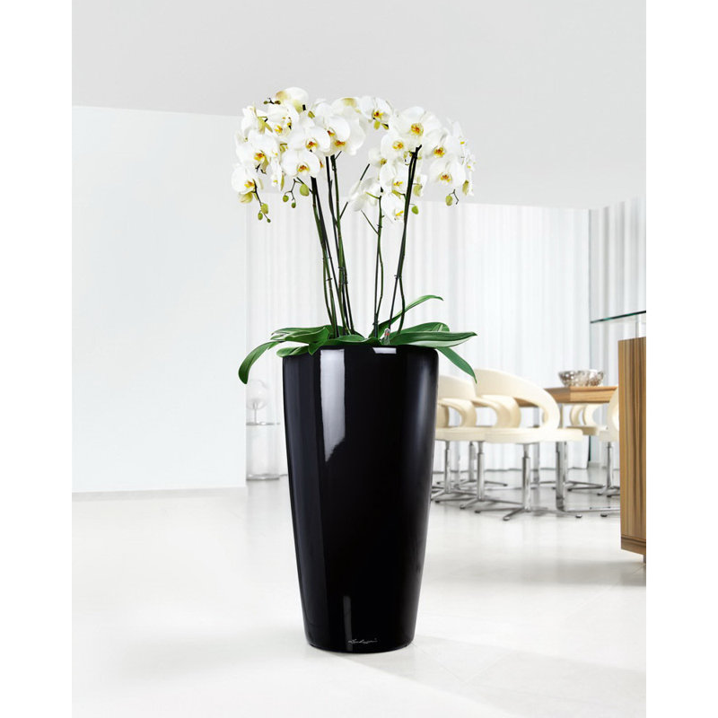 Rondo Pot Planter, 56 cm H x 32 cm W x 32 cm D, Black
