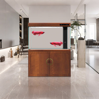 Grand aquarium 31,5 po