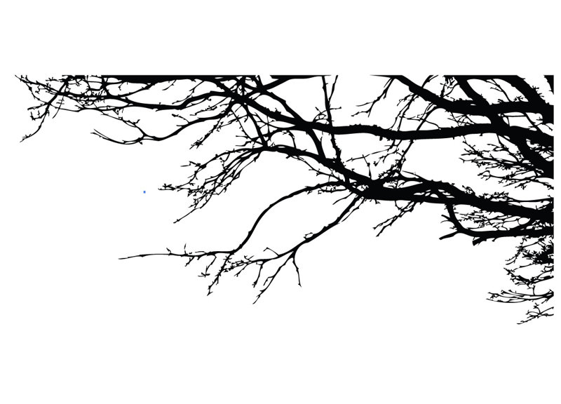Plants & Flowers Non-Wall Damaging Wall Decal, Black