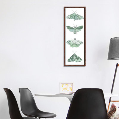 Four Moths - Panoramic Print on Canvas