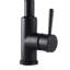 Belfry Kitchen Pull Out Kitchen Faucet