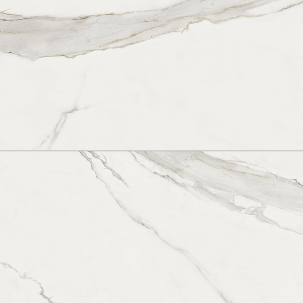 Frost 24X48 Calacatta