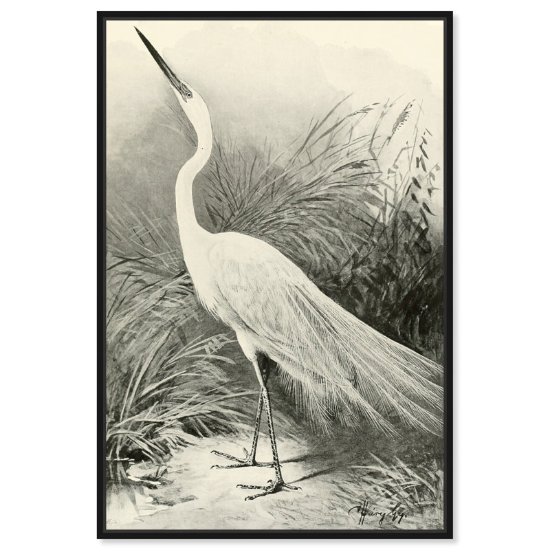 Oiseau en niveaux de gris - peinture sur toile, Toile encadrée noire, H 30 po x l 20 po