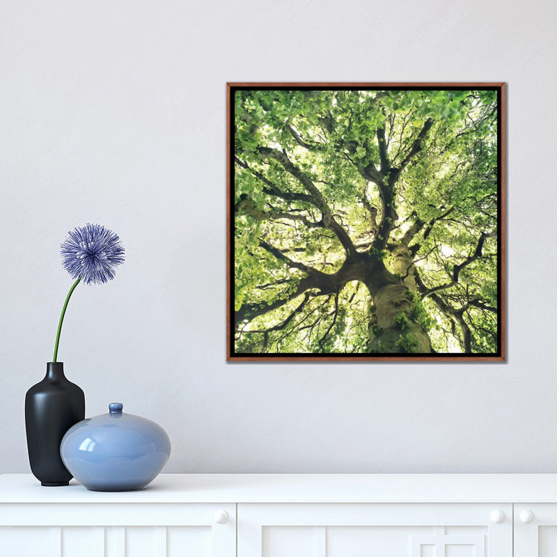 Reproduction de photo sous votre peau, H 18 po x l 18 po x P 1,5 po, Toile tendue