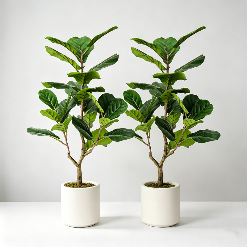 Figuier artificiel 3 pi 3 pi (ensemble de 2) en pot décoratif blanc, plante verte, 2