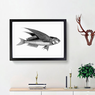 Oceanic Flying Fish in Black & White by George Shaw - Framed Print