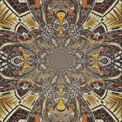Indoor Rug