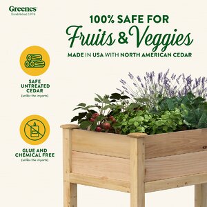 Greenes Fence Wood Outdoor Elevated Planter & Reviews | Wayfair