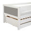 Booth Solid Wood Daybed with Trundle-28079698