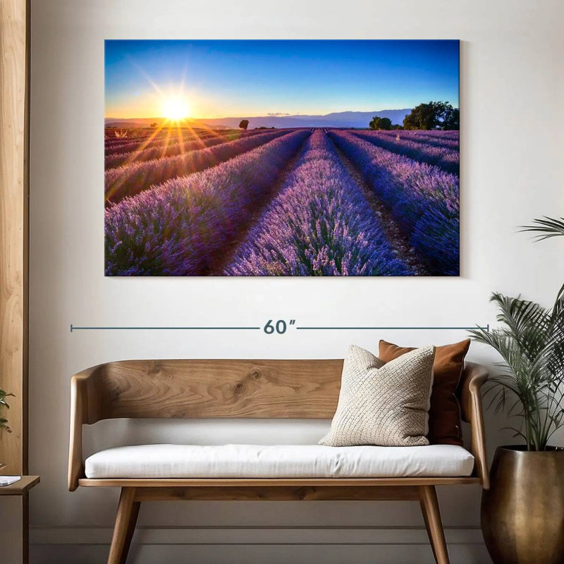 Alvord Blooming Lavender Field, 34" H x 51" W